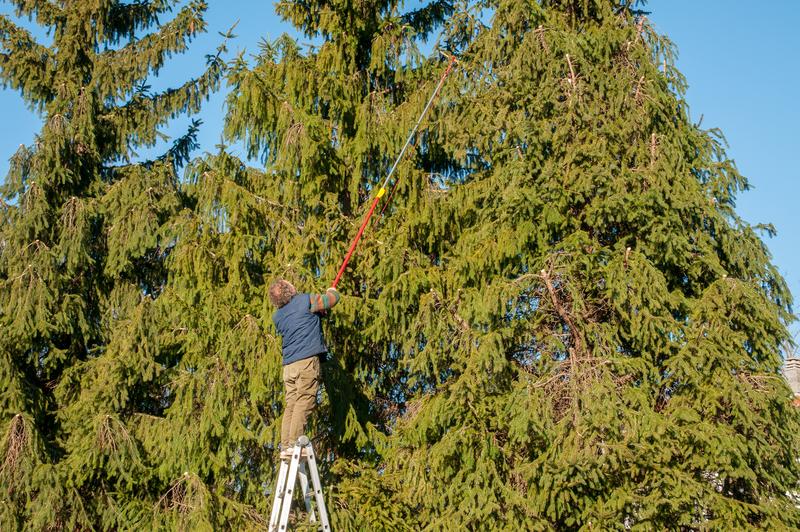 A Summer Backyard Maintenance Checklist for Homeowners