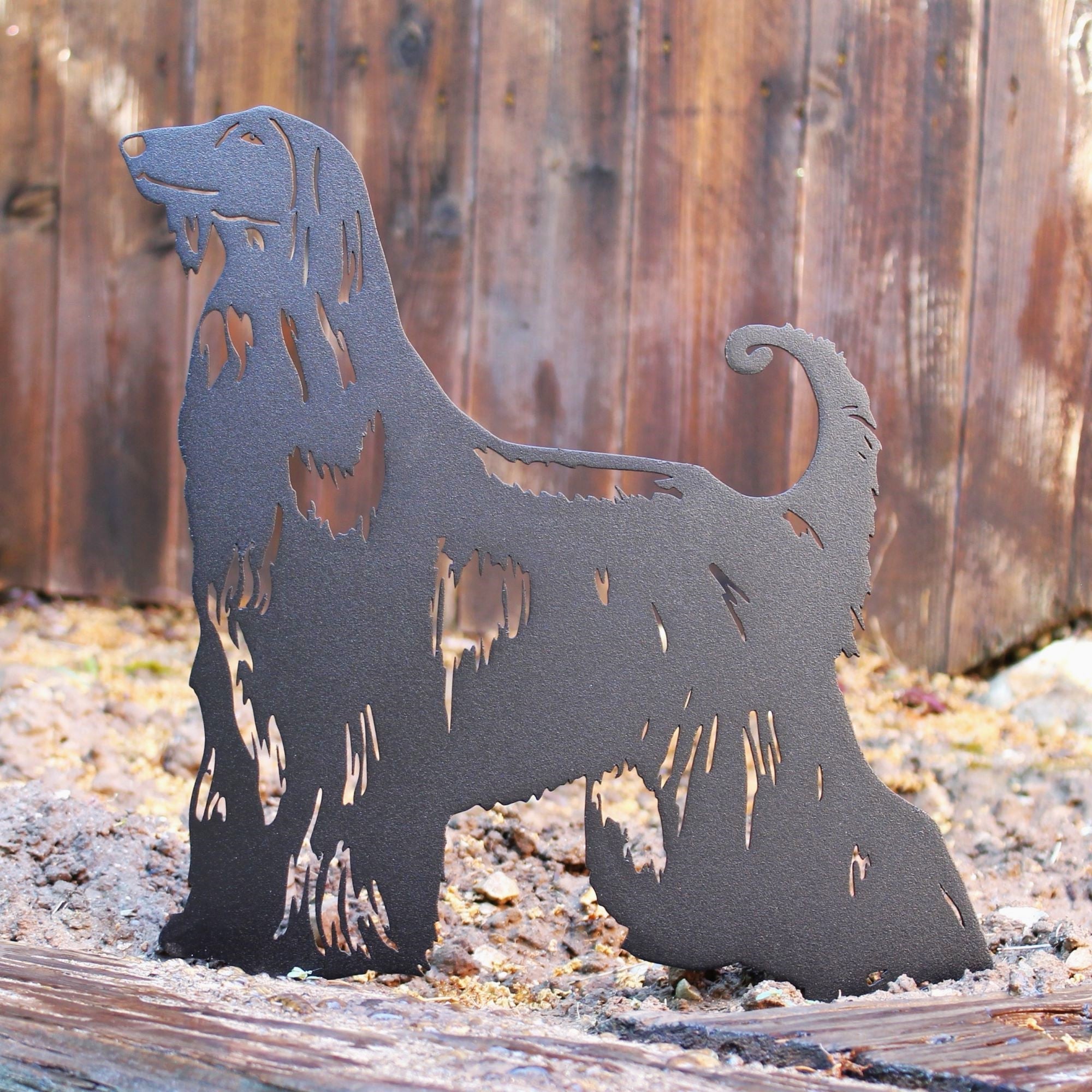 Afghan Hound
