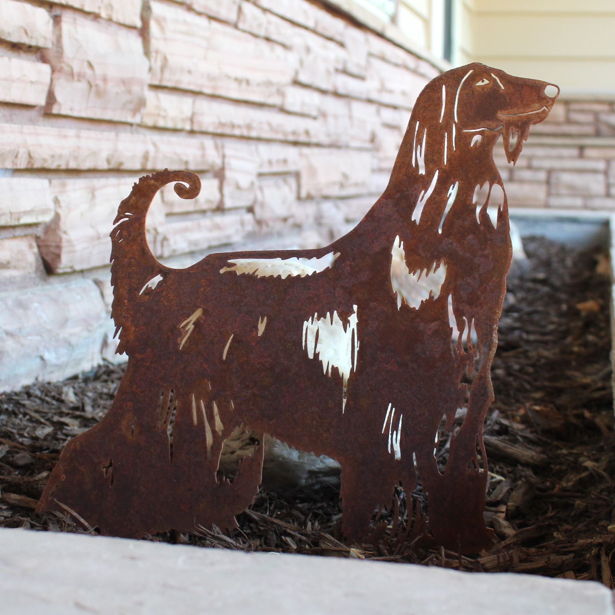 Afghan Hound
