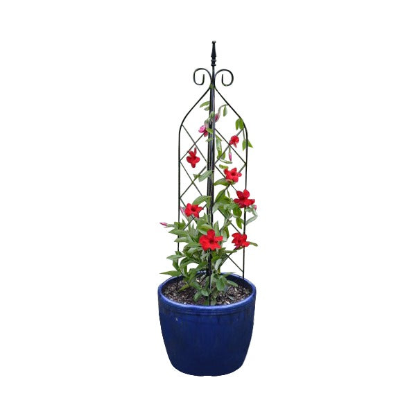 Large 3 way free standing or pot trellis Henderson-gardensupply